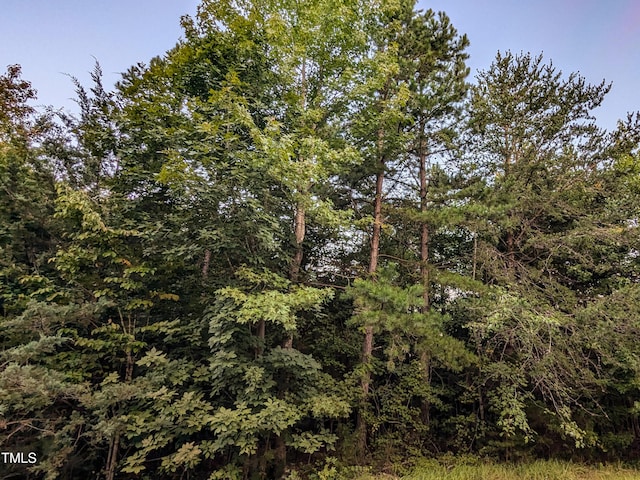 0 Doc Bass Rd, Timberlake, NC 27583 - photo 4
