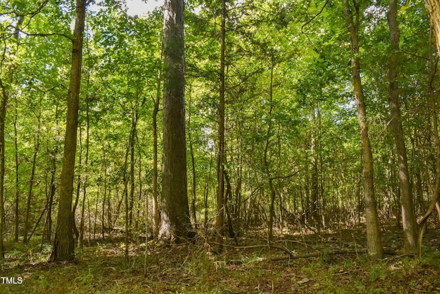 0 Doc Bass Rd, Timberlake, NC 27583 - photo 2