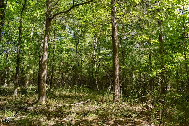 0 Doc Bass Rd, Timberlake, NC 27583 - photo 3