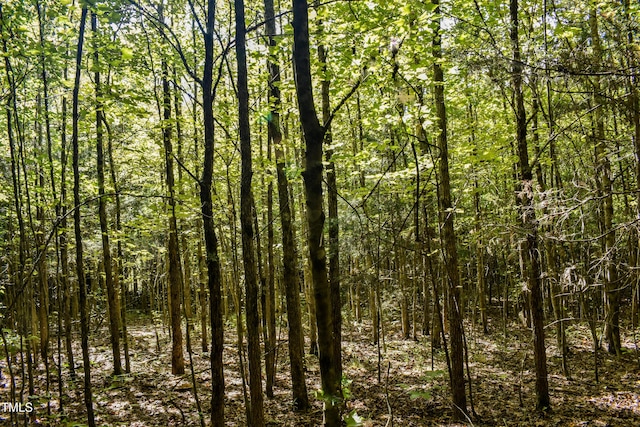 0 Doc Bass Rd, Timberlake, NC 27583 - photo 11