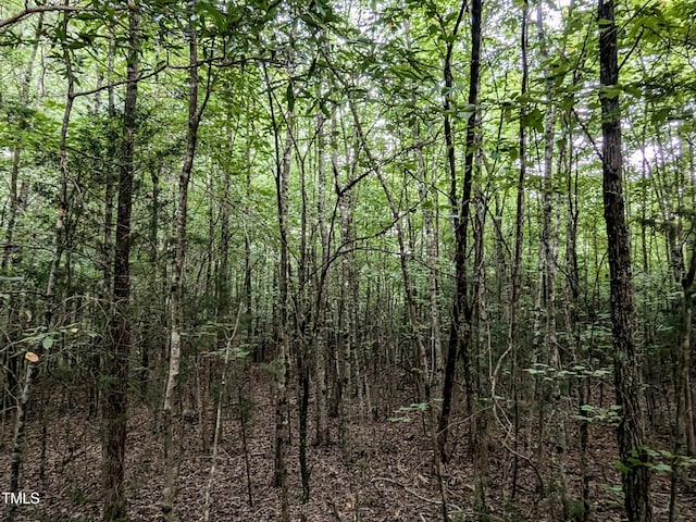 0 Doc Bass Rd, Timberlake, NC 27583 - photo 14