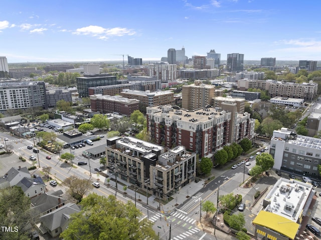 615 W Peace St Unit 302, Raleigh, NC 27605 - city view