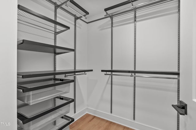 615 W Peace St Unit 302, Raleigh, NC 27605 - spacious closet featuring wood finished floors