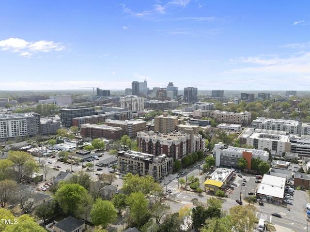 615 W Peace St Unit 302, Raleigh, NC 27605 - view of urban area