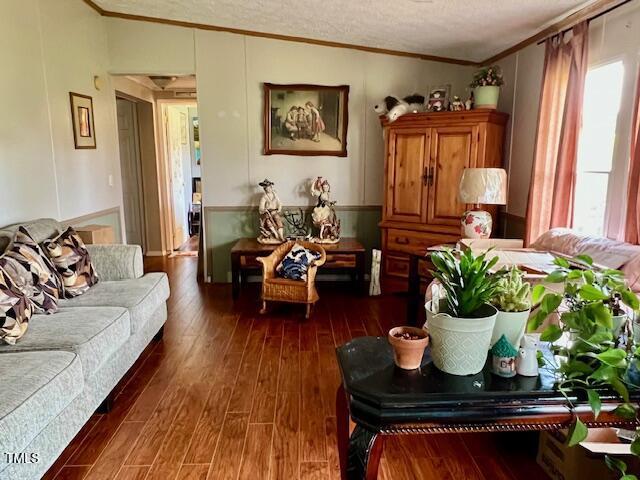 174 Daffodil Dr, Henderson, NC 27537 - living room featuring ornamental molding, plenty of natural light, dark wood-style flooring, and a textured ceiling