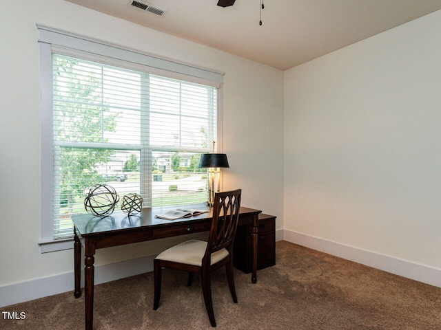 8712 Halsey Ln, Wake Forest, NC 27587 - office space with carpet floors, healthy amount of natural light, and ceiling fan