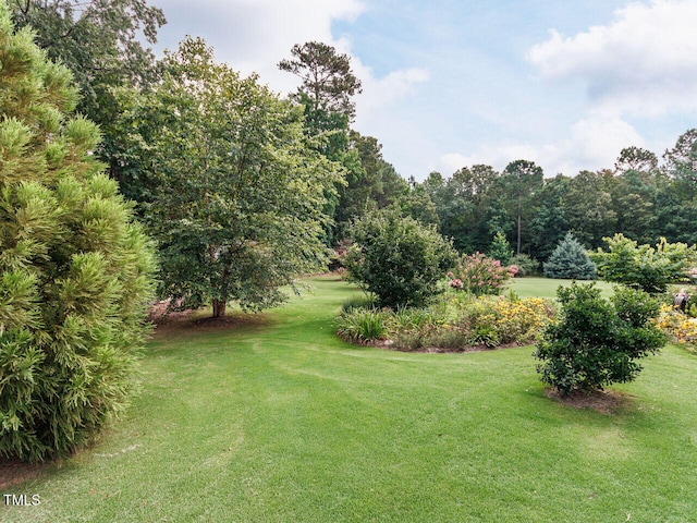8712 Halsey Ln, Wake Forest, NC 27587 - view of green lawn