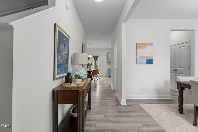 837 Stable Fern Dr, Fuquay Varina, NC 27526 - hallway featuring wood finished floors and baseboards