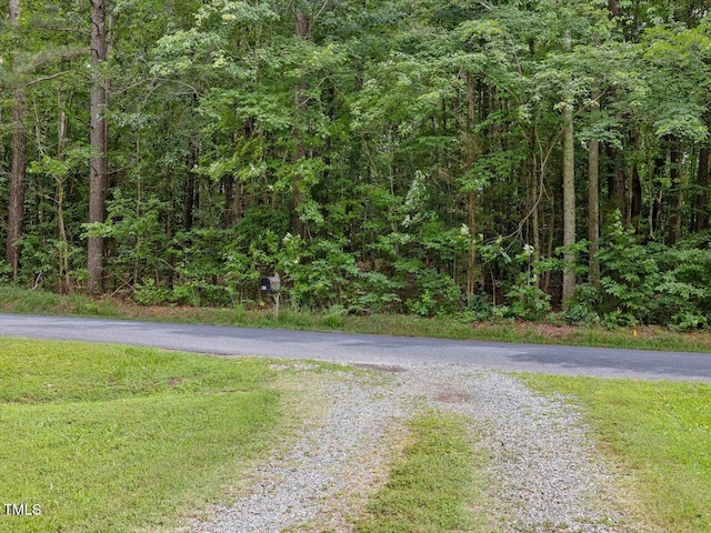 358 Benjie Williams Rd, Staley, NC 27355 - view of road featuring a view of trees