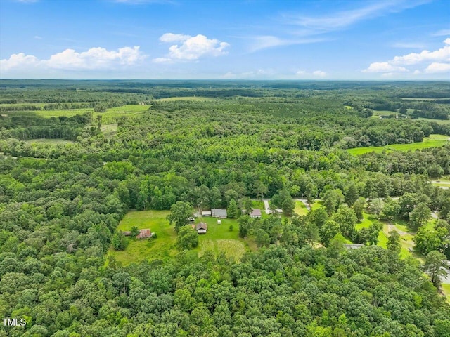 358 Benjie Williams Rd, Staley, NC 27355 - aerial view of a forest