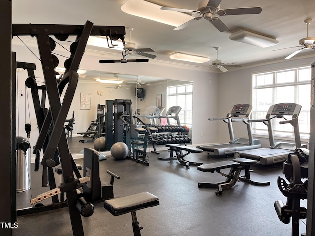 2520 Friedland Pl Unit 200, Raleigh, NC 27617 - exercise room featuring ceiling fan