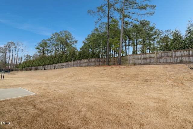 165 Naples Ln, Clayton, NC 27527 - view of yard