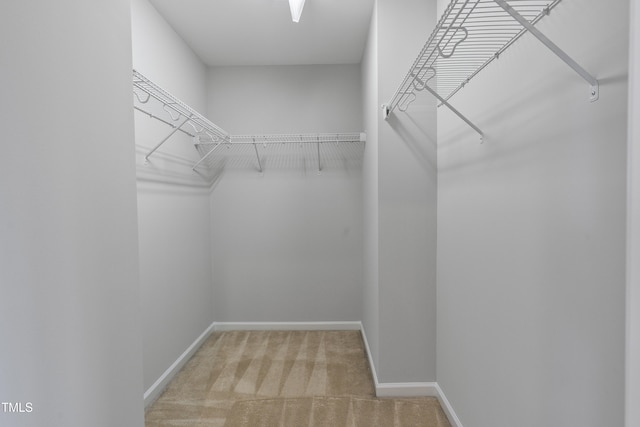 165 Naples Ln, Clayton, NC 27527 - spacious closet with carpet
