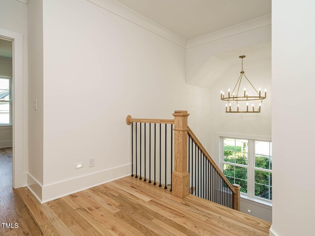 627 Georgetown Rd, Raleigh, NC 27608 - photo 20