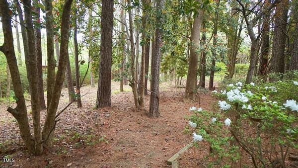 2765 Rue Sans Famille, Raleigh, NC 27607 - photo 32