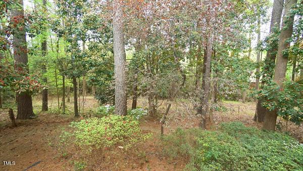 2765 Rue Sans Famille, Raleigh, NC 27607 - photo 35