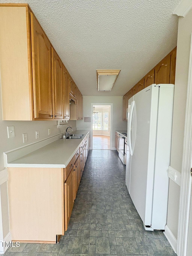 7001 Colby Rd, Rocky Mount, NC 27803 - photo 9