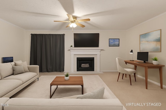 603 Broad Leaf Cir, Raleigh, NC 27613