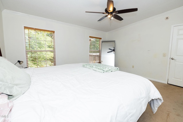 5503 Gouden Ln, Mebane, NC 27302 - photo 12