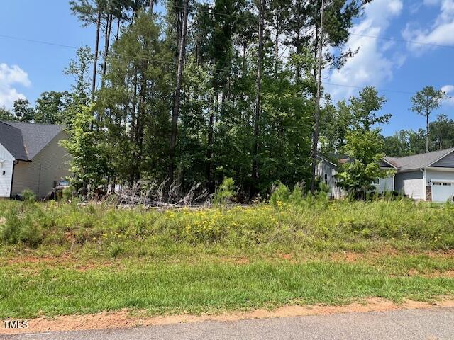 139 Ottawa Dr, Louisburg, NC 27549