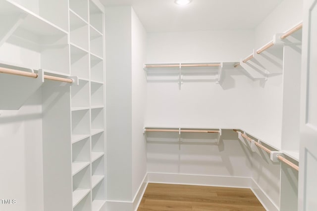 703 E Markham Ave, Durham, NC 27701 - photo 15