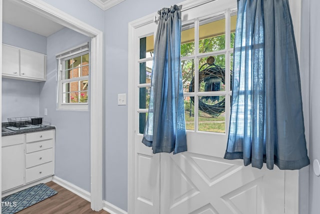 6311 New Market Way, Raleigh, NC 27615 - entryway featuring dark wood-style flooring and healthy amount of natural light