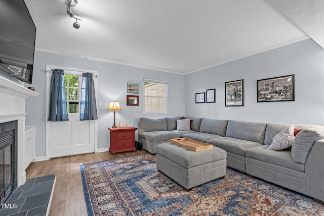 6311 New Market Way, Raleigh, NC 27615 - living area featuring a glass covered fireplace, wood finished floors, a textured ceiling, and ornamental molding