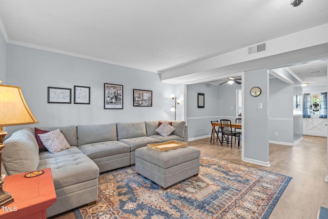 6311 New Market Way, Raleigh, NC 27615 - living area with ceiling fan, wood finished floors, and ornamental molding