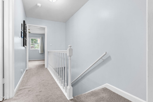 6311 New Market Way, Raleigh, NC 27615 - stairs with carpet and baseboards