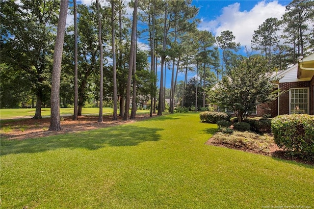 294 Martinleer Ct, Fayetteville, NC 28311 - photo 36