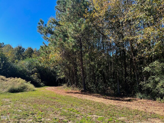127 Sage Dr, Broadway, NC 27505 - photo 3