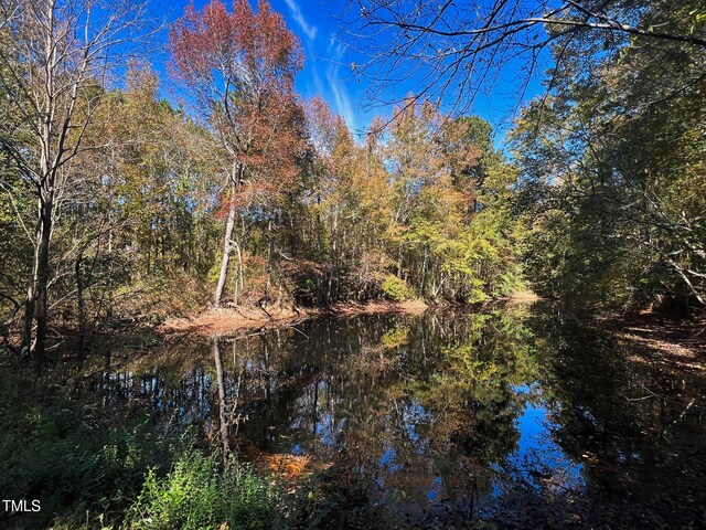 127 Sage Dr, Broadway, NC 27505 - photo 4