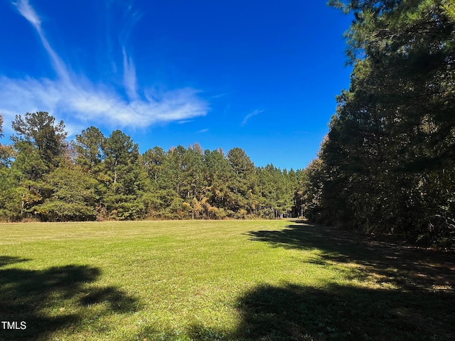 127 Sage Dr, Broadway, NC 27505 - photo 5