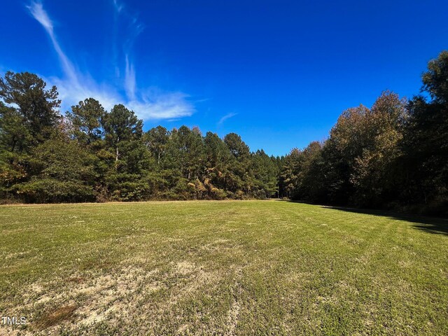 127 Sage Dr, Broadway, NC 27505 - photo 6