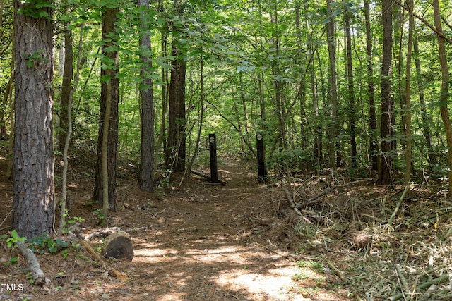 12501 Hardee Rd, Raleigh, NC 27614 - view of tree filled area