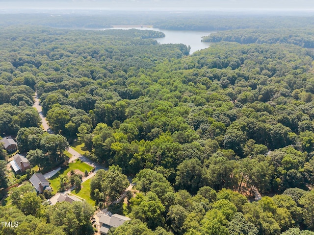 12501 Hardee Rd, Raleigh, NC 27614 - drone / aerial view of a forest and a nearby body of water