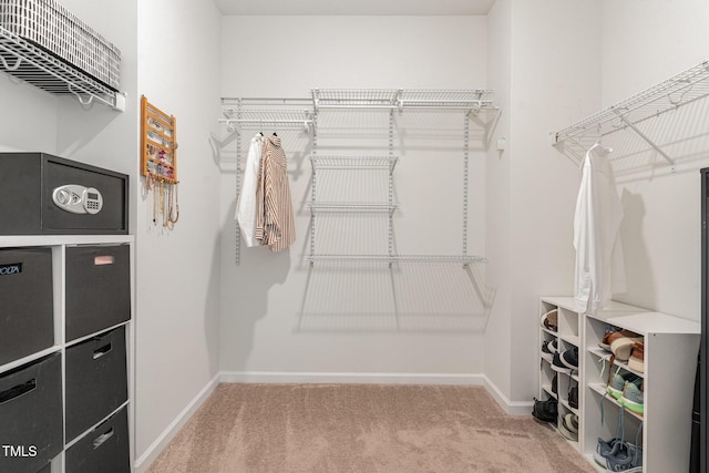 1425 Herb Garden Way, Apex, NC 27502 - walk in closet with carpet