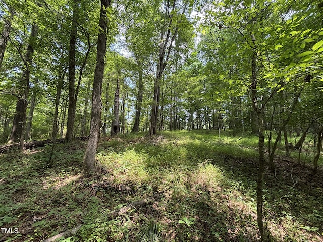 0 Winston Rd, Creedmoor, NC 27522