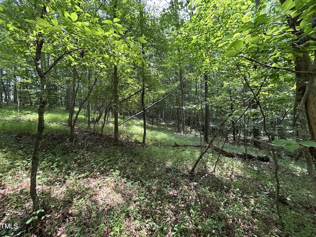 0 Winston Rd, Creedmoor, NC 27522