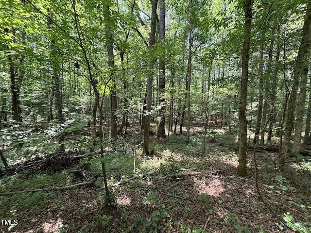 0 Winston Rd, Creedmoor, NC 27522