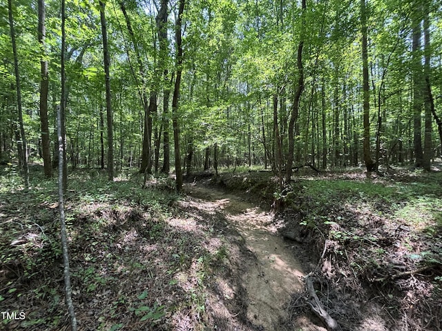 0 Winston Rd, Creedmoor, NC 27522