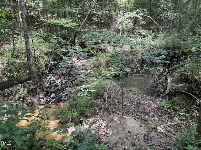 0 Winston Rd, Creedmoor, NC 27522