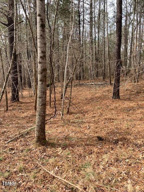 0 Winston Rd, Creedmoor, NC 27522