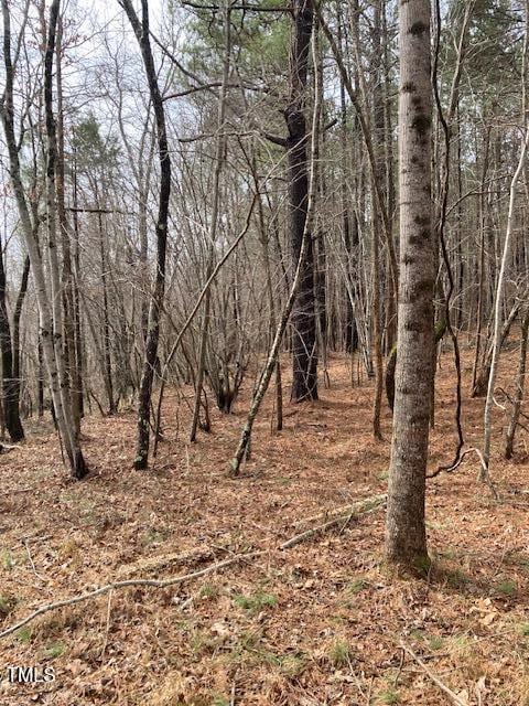 0 Winston Rd, Creedmoor, NC 27522