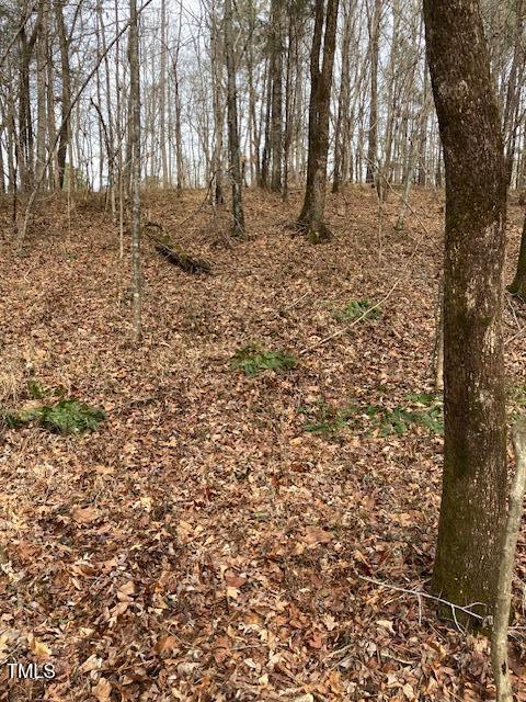 0 Winston Rd, Creedmoor, NC 27522