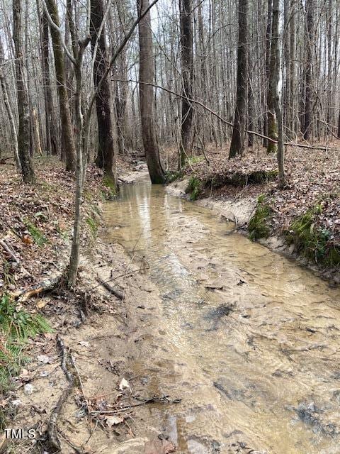 0 Winston Rd, Creedmoor, NC 27522
