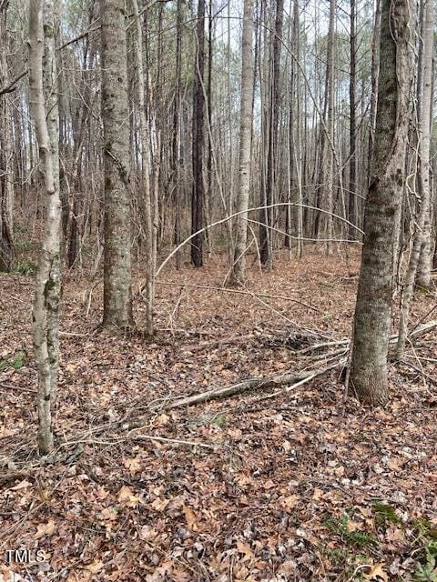 0 Winston Rd, Creedmoor, NC 27522