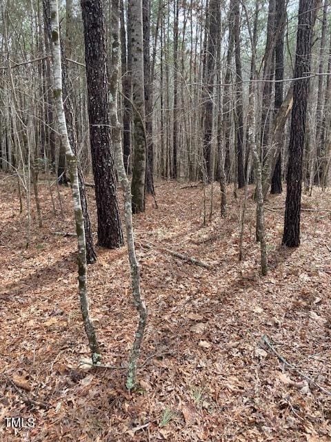 0 Winston Rd, Creedmoor, NC 27522