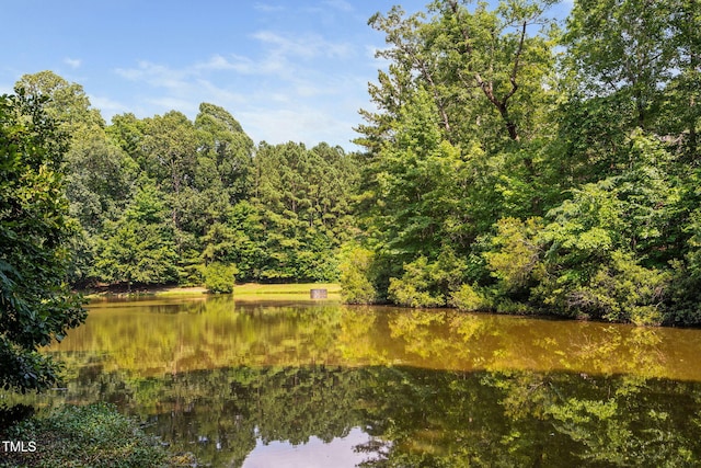 114 Dalmeny Dr, Cary, NC 27513 - water view with a heavily wooded area