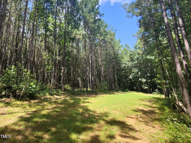 181 Inverness St, Zebulon, NC 27597 - photo 61